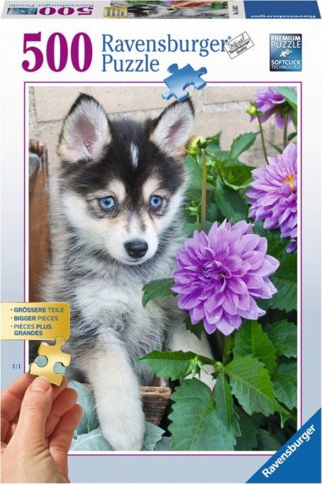 RAVENSBURGER Puzzle Roztomilý Husky XXL 500 dílků - obrázek 2