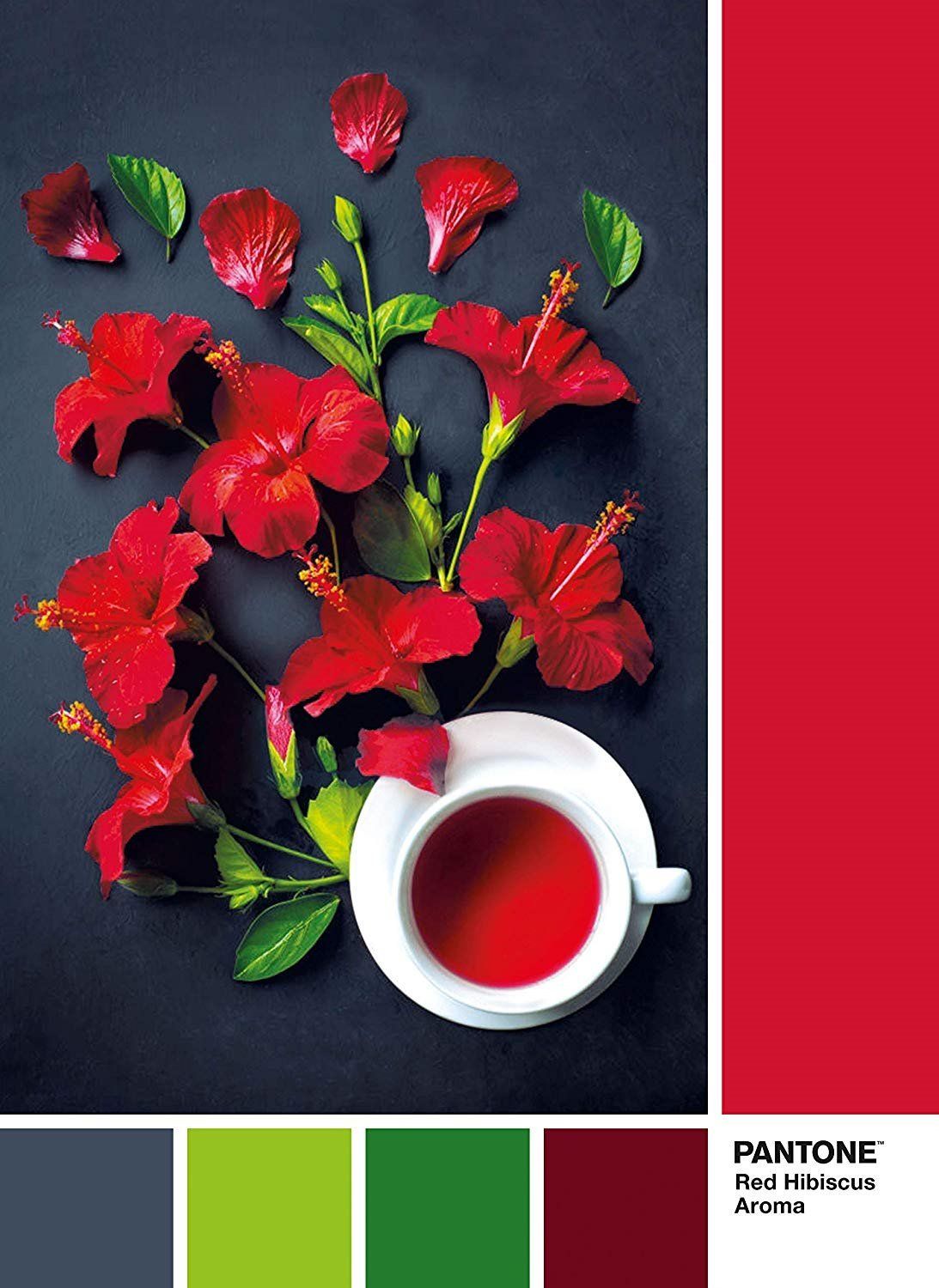 CLEMENTONI Puzzle Pantone: Aroma červeného ibišku 1000 dílků - obrázek 1