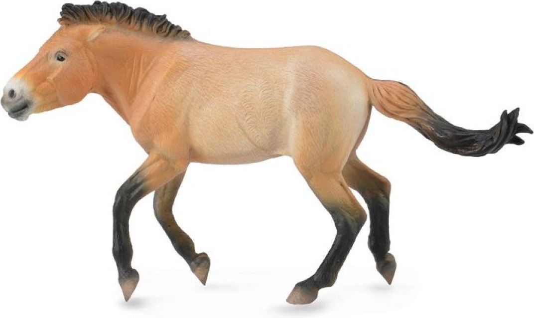 Collecta Kůň Převalského - obrázek 1