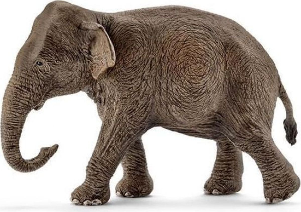 Schleich 14753 Asijský slon samice - obrázek 1