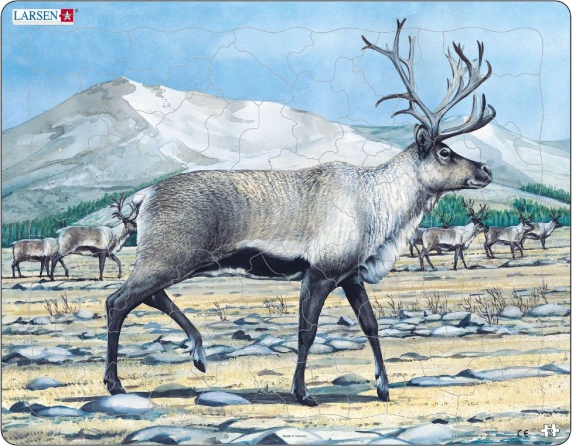 Larsen puzzle Sob sněžný 60 dílků - obrázek 1
