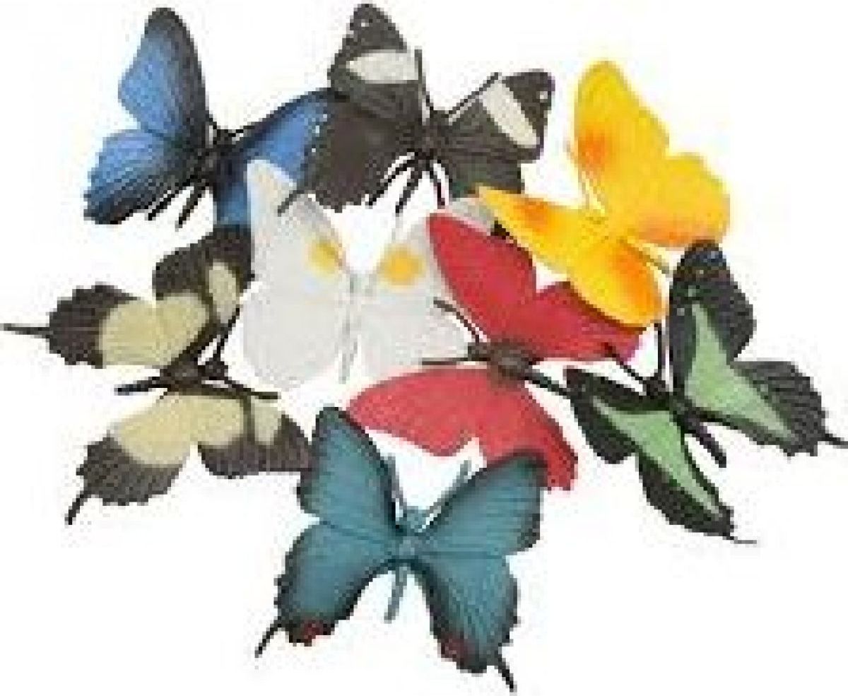 Safari Ltd Tuba Motýli - obrázek 1