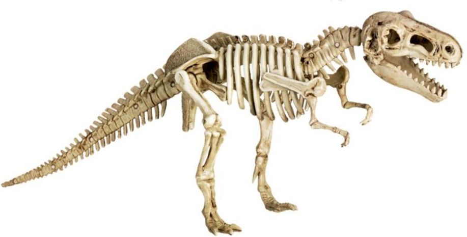 Spiegelburg Excavation kit T-Rex T-Rex World uni - obrázek 1