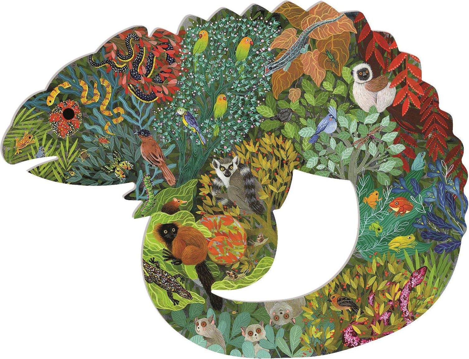 Djeco Chameleon uni - obrázek 2