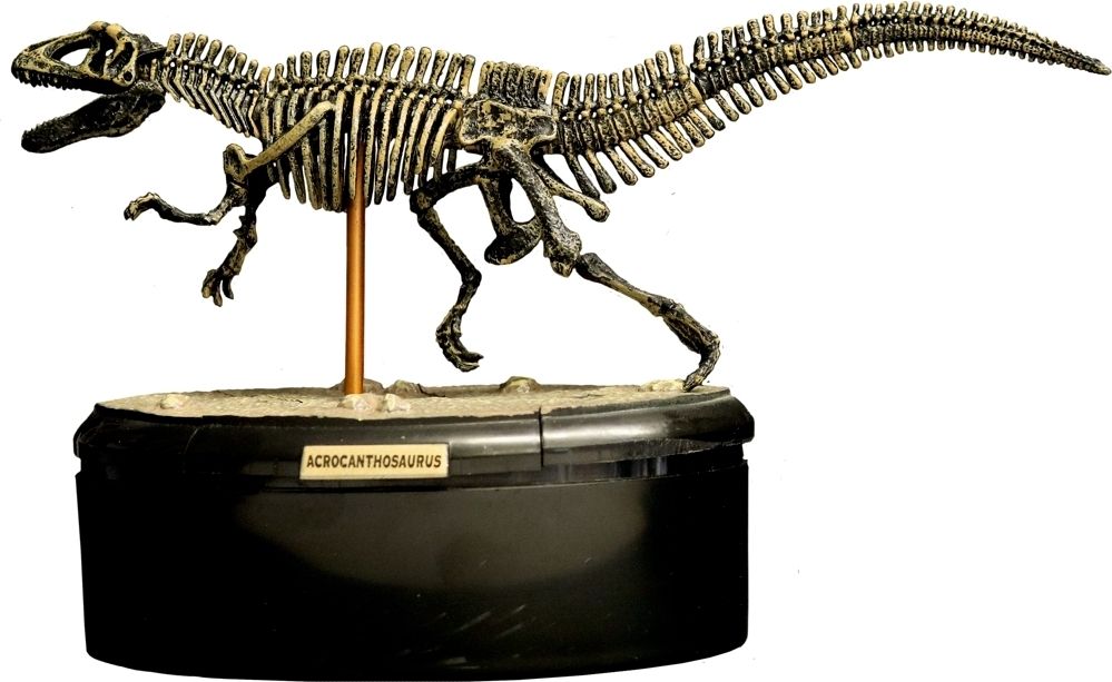 3D puzzle Acrocanthosaurus T-RexWorld uni - obrázek 1
