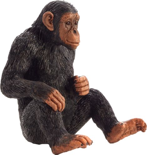Mojo Animal Planet Šimpanz - obrázek 1