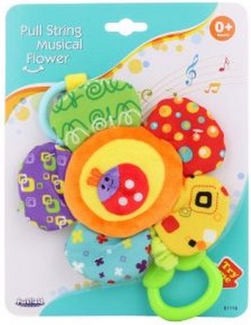 Zpívající květina - obrázek 1