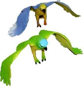 RAPPA - Papoušci - obrázek 1