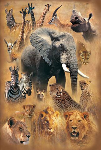 Trefl Svět divokých zvířat 2000 dílků - obrázek 1