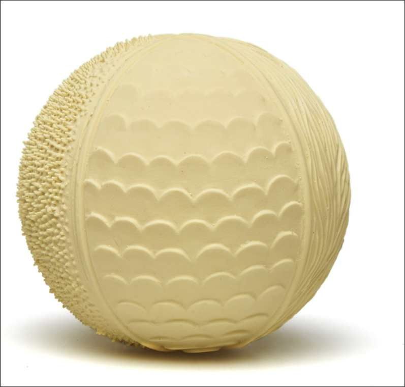Lanco - Senzorický míček žlutý - obrázek 1