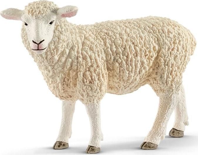 SCHLEICH Zvířátko - Ovce - obrázek 1