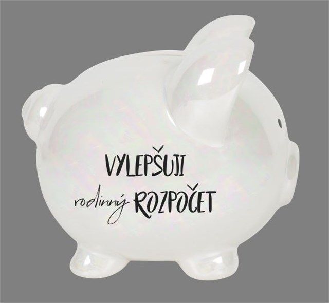 LOLA BABY ALBI Prasátko - Rodinný rozpočet - obrázek 1