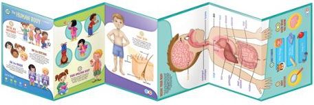 Leapfrog - Poznáváme lidské tělo - obrázek 10
