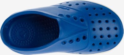 Miller Slip On dětské Native Shoes | Modrá | Chlapecké | 25 - obrázek 4