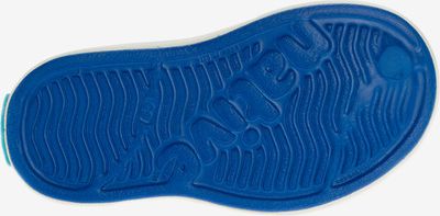Miller Slip On dětské Native Shoes | Modrá | Chlapecké | 25 - obrázek 5