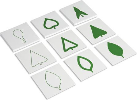 Karty s tvary listů - obrázek 1