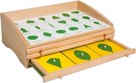 Botanická komoda - obrázek 2
