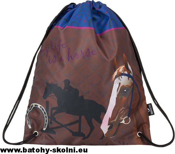 Pytlík na přezůvky Koníček Bagmaster Shoes Galaxy 9 B - obrázek 1
