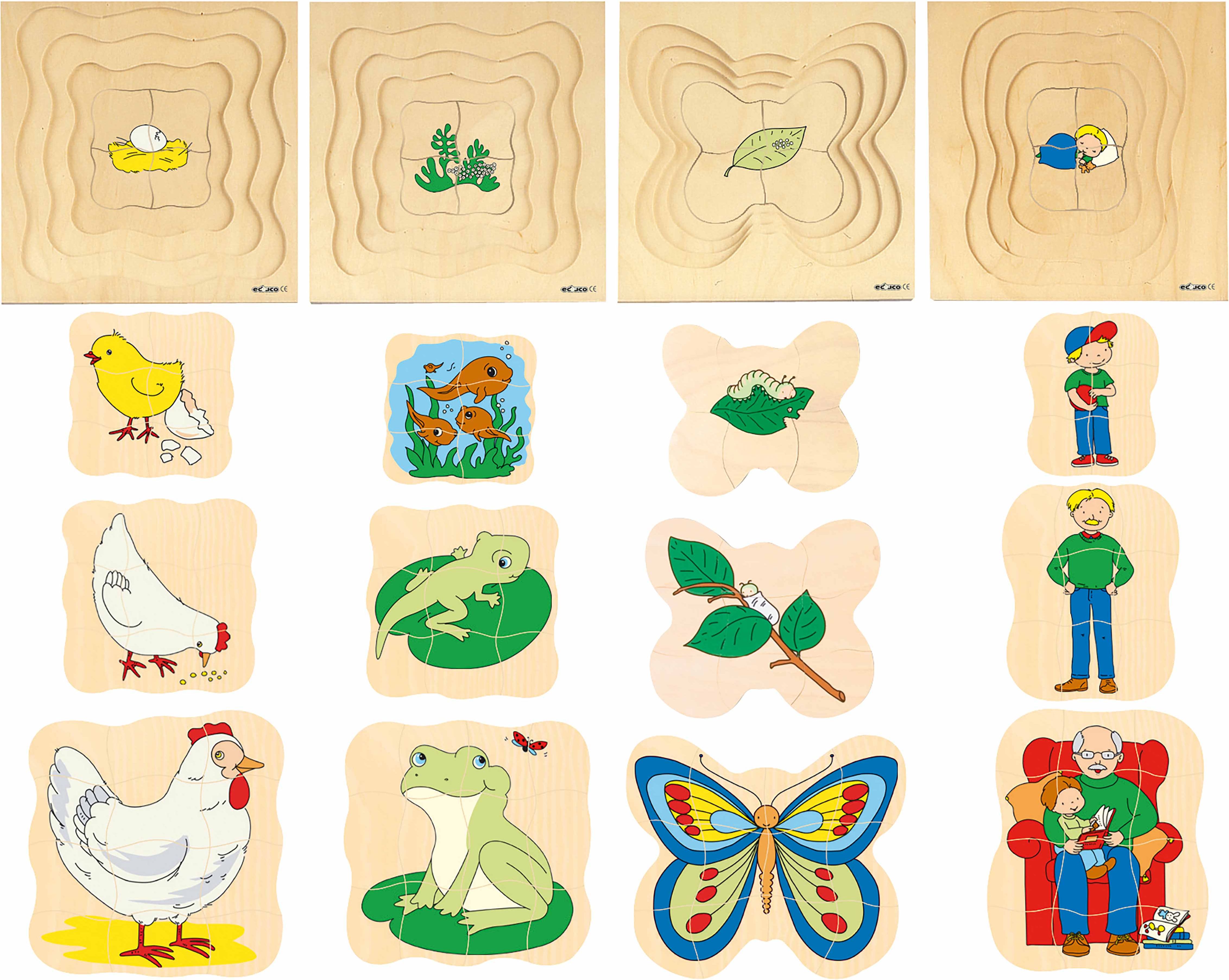 Educo E522015 Growth puzzle - grandfather - obrázek 2
