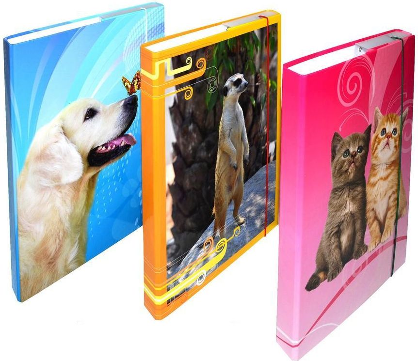 Wiky Wiky Box na sešity A4 mix - obrázek 1
