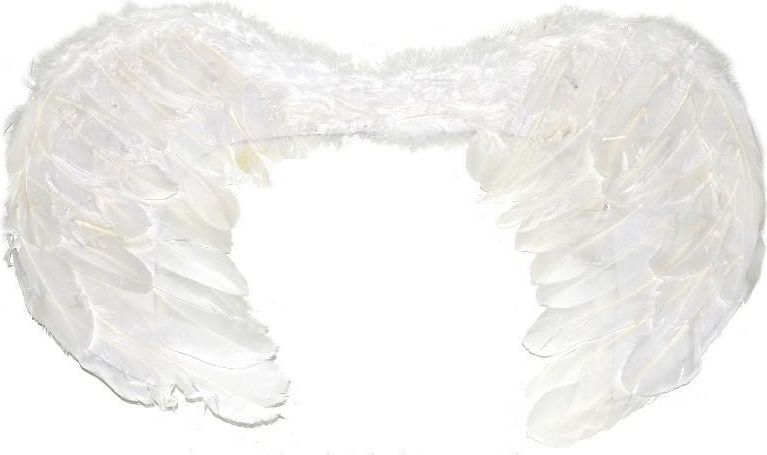 Wiky Wiky Andělská křídla 33x51 cm - obrázek 1