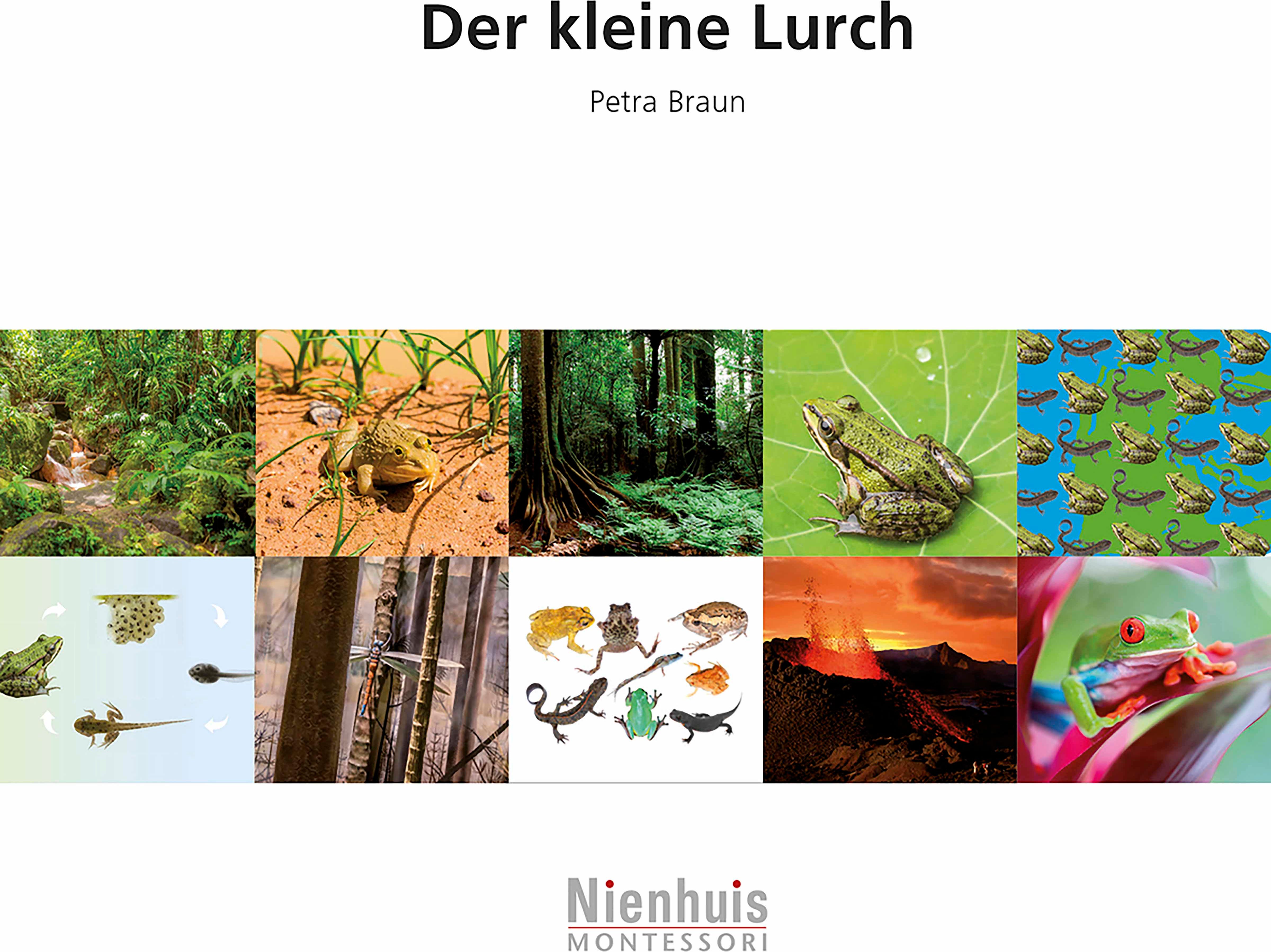 Nienhuis Montessori 523232 Der kleine Lurch (German version) - obrázek 1