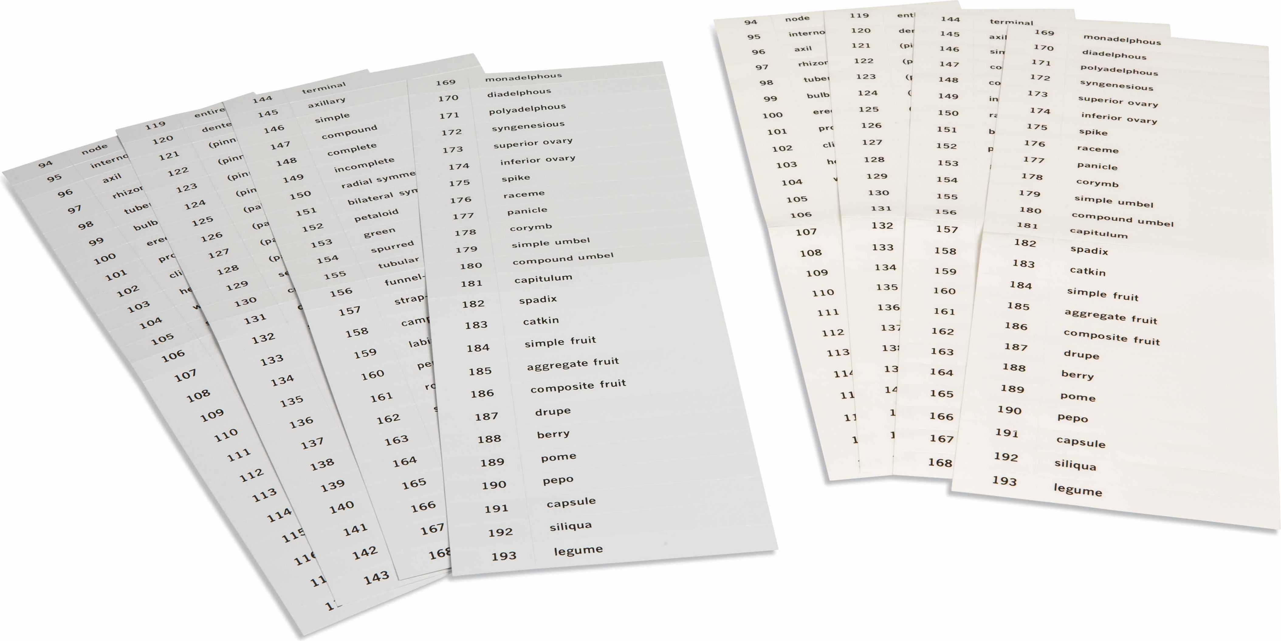 Nienhuis Montessori Name Cards: Third Set Of Botany Cards - obrázek 1