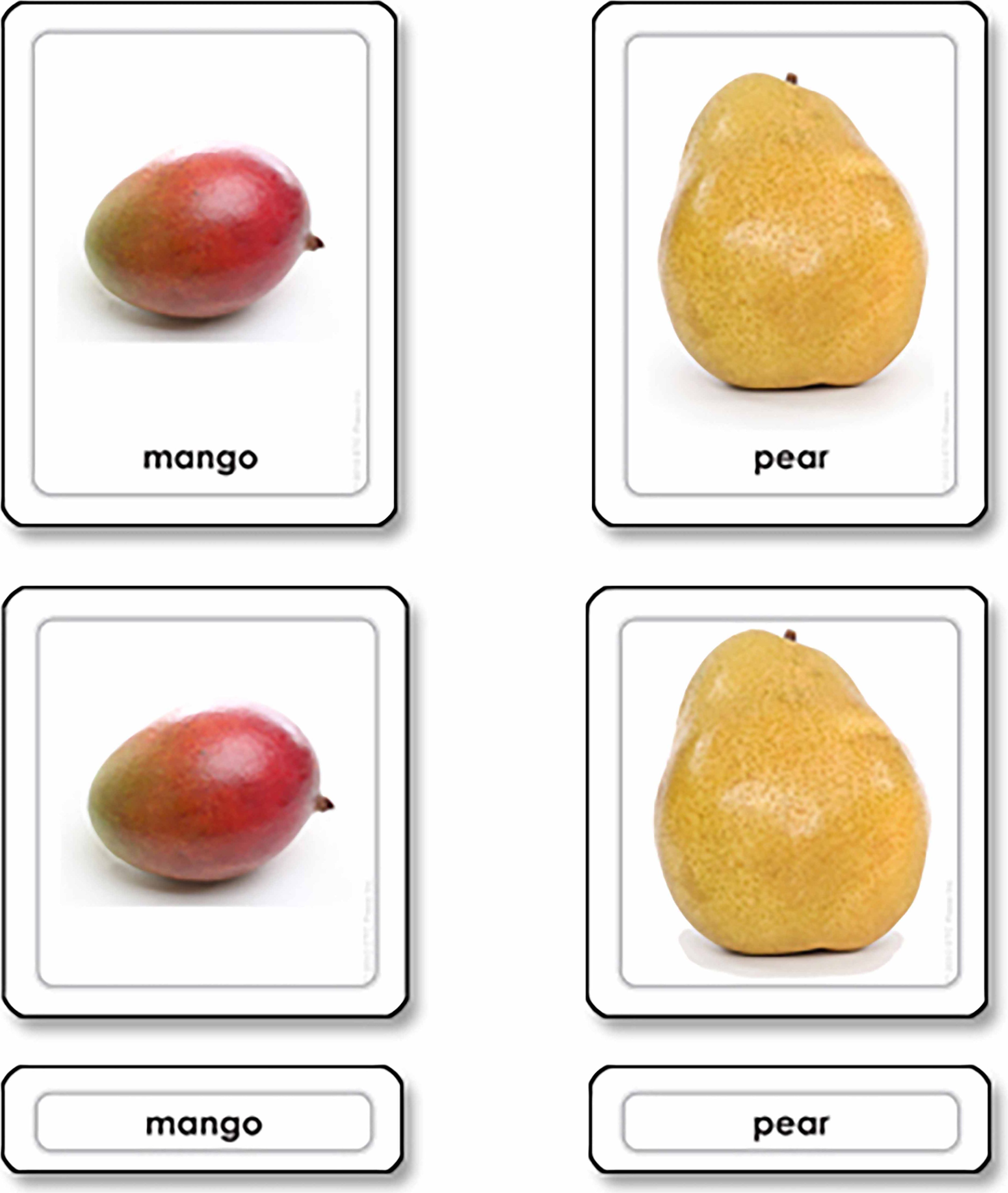 Nienhuis Montessori Fruits 3 Part Cards - obrázek 1