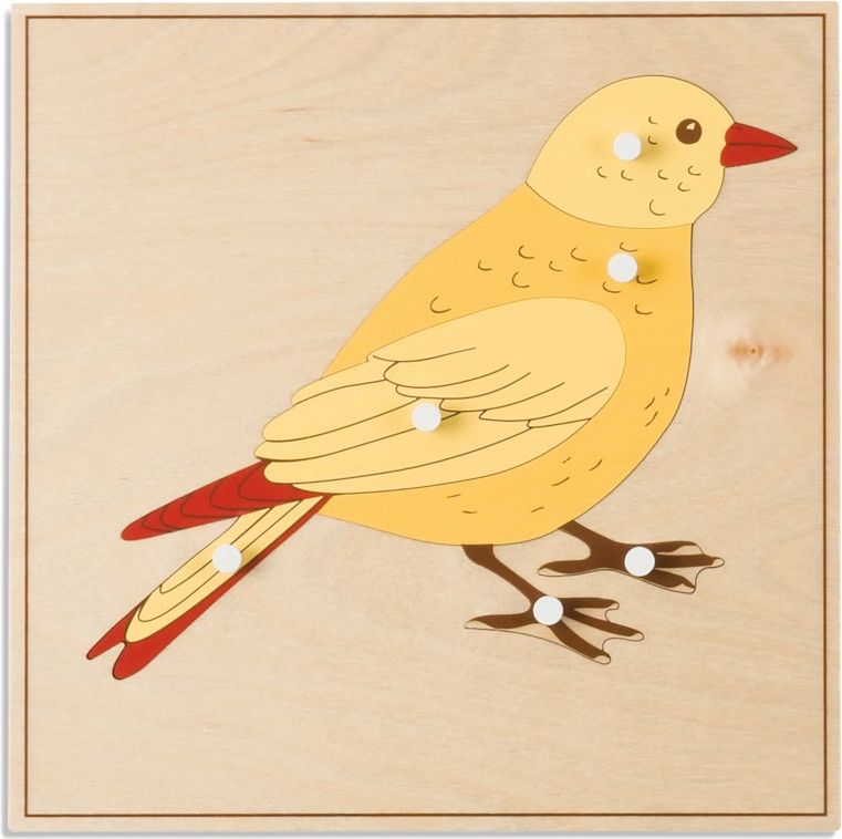 Nienhuis Montessori Animal Puzzle: Bird - obrázek 1