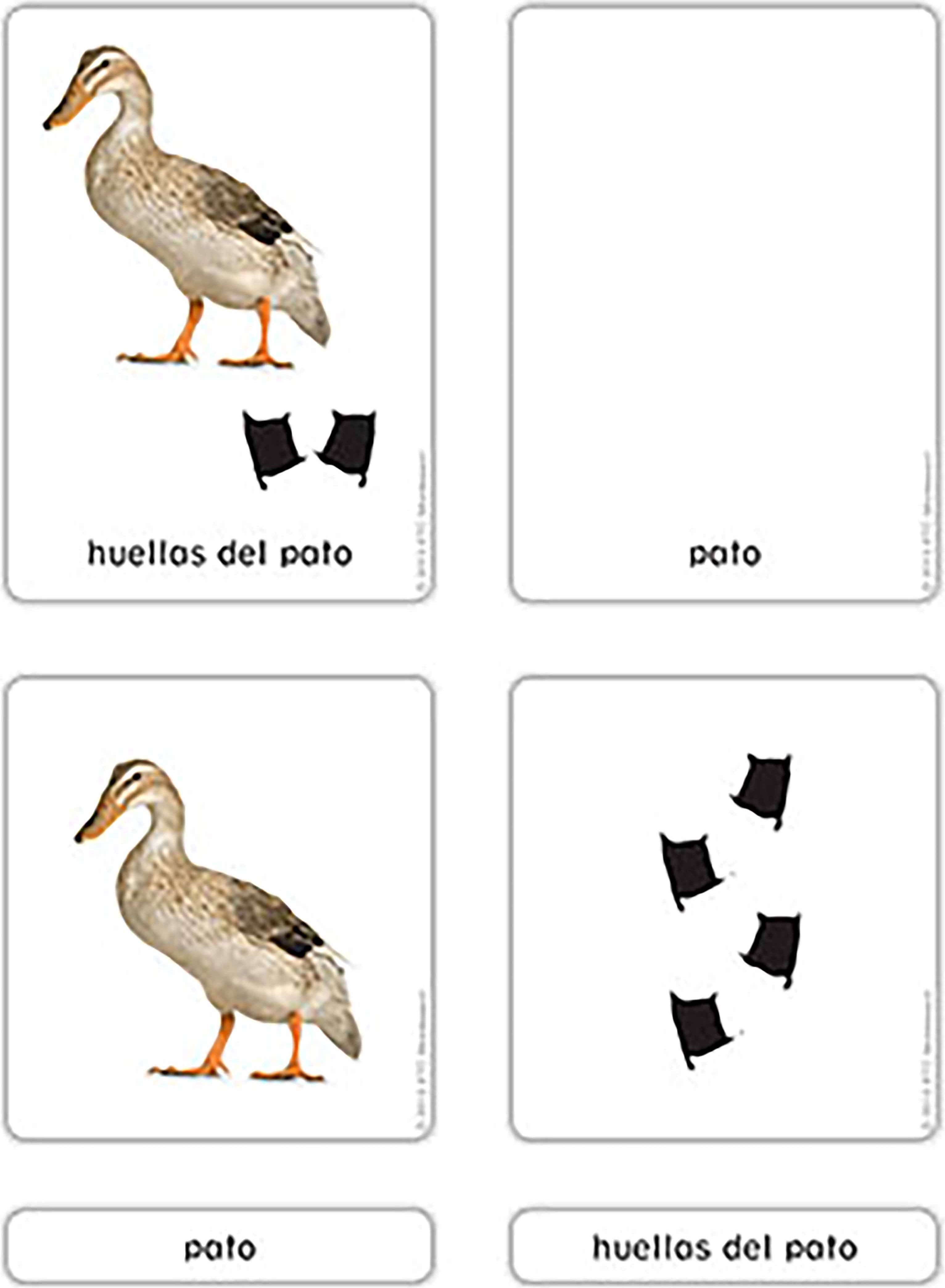 Nienhuis Montessori Huellas de Animales de la Granja - obrázek 1