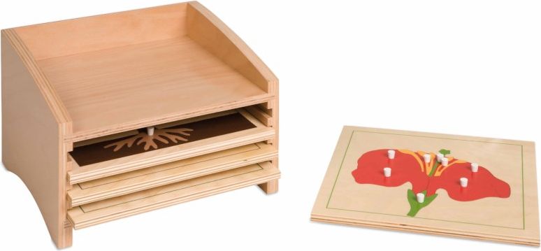 Nienhuis Montessori Botany Puzzle Cabinet: Four Compartments - obrázek 1