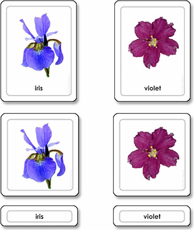 Přikládací karty s popisky: Květy - obrázek 1