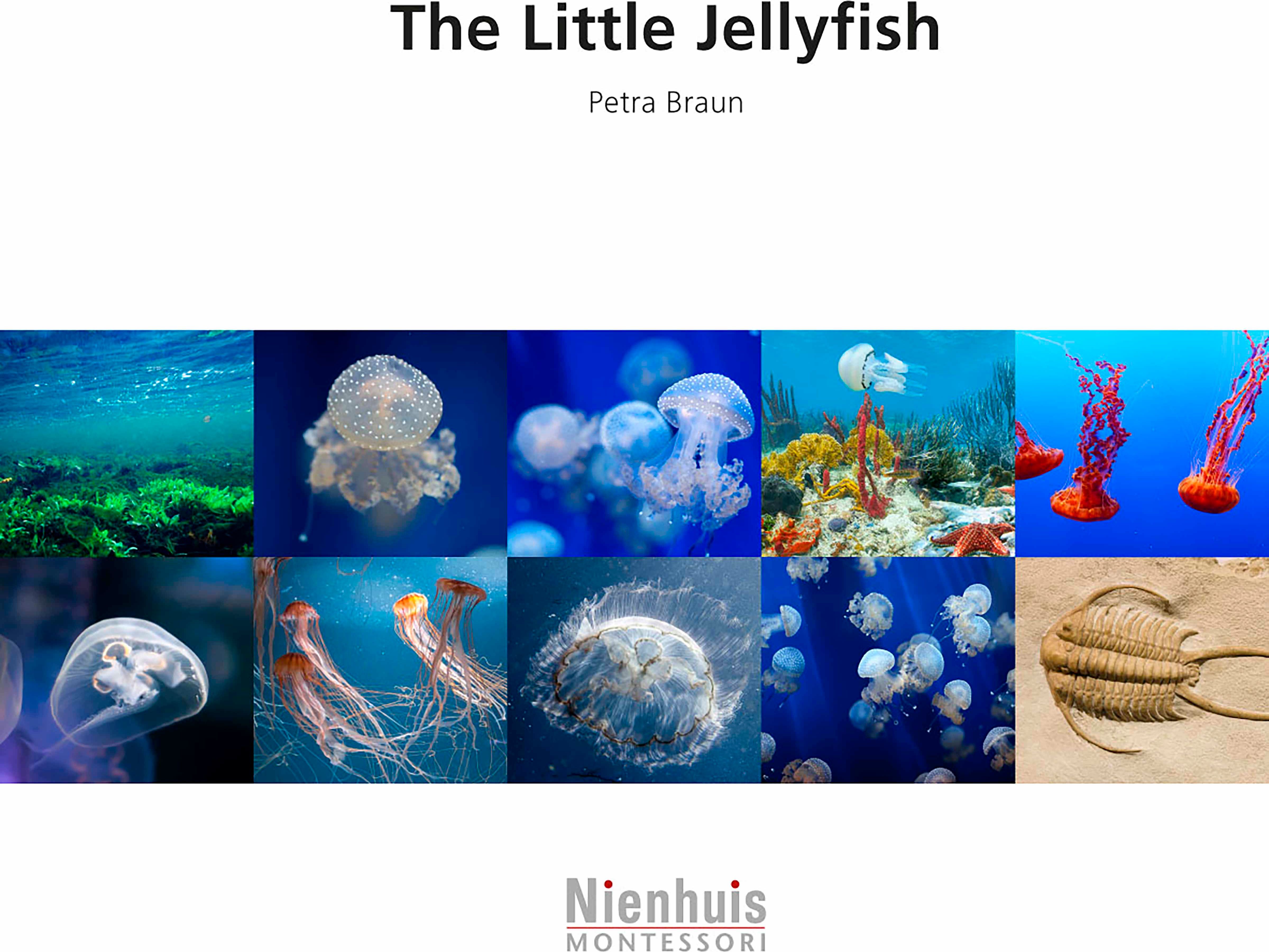 Nienhuis Montessori The Little Jellyfish - obrázek 1