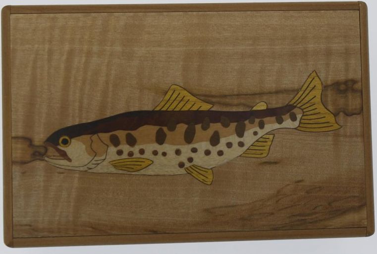 5 Sun 10 Step Trout Ryba Japonská tajná skřínka - obrázek 1