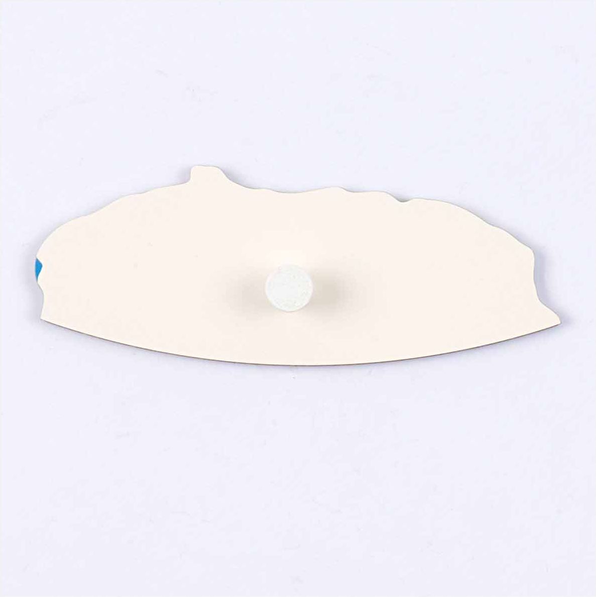 Nienhuis Montessori Puzzle Piece Of World Parts: Antarctica East - obrázek 1