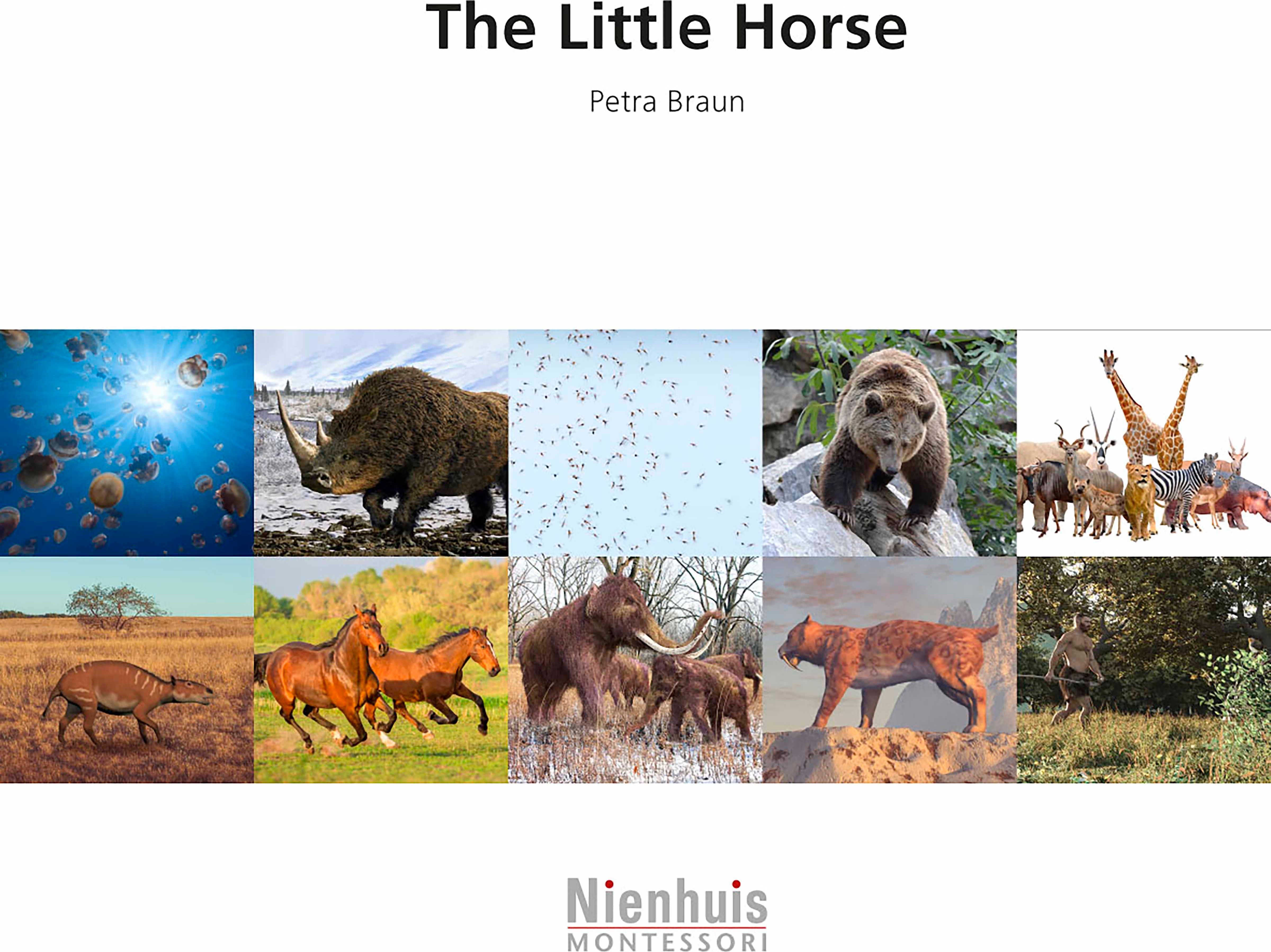 Nienhuis Montessori The Little Horse - obrázek 1
