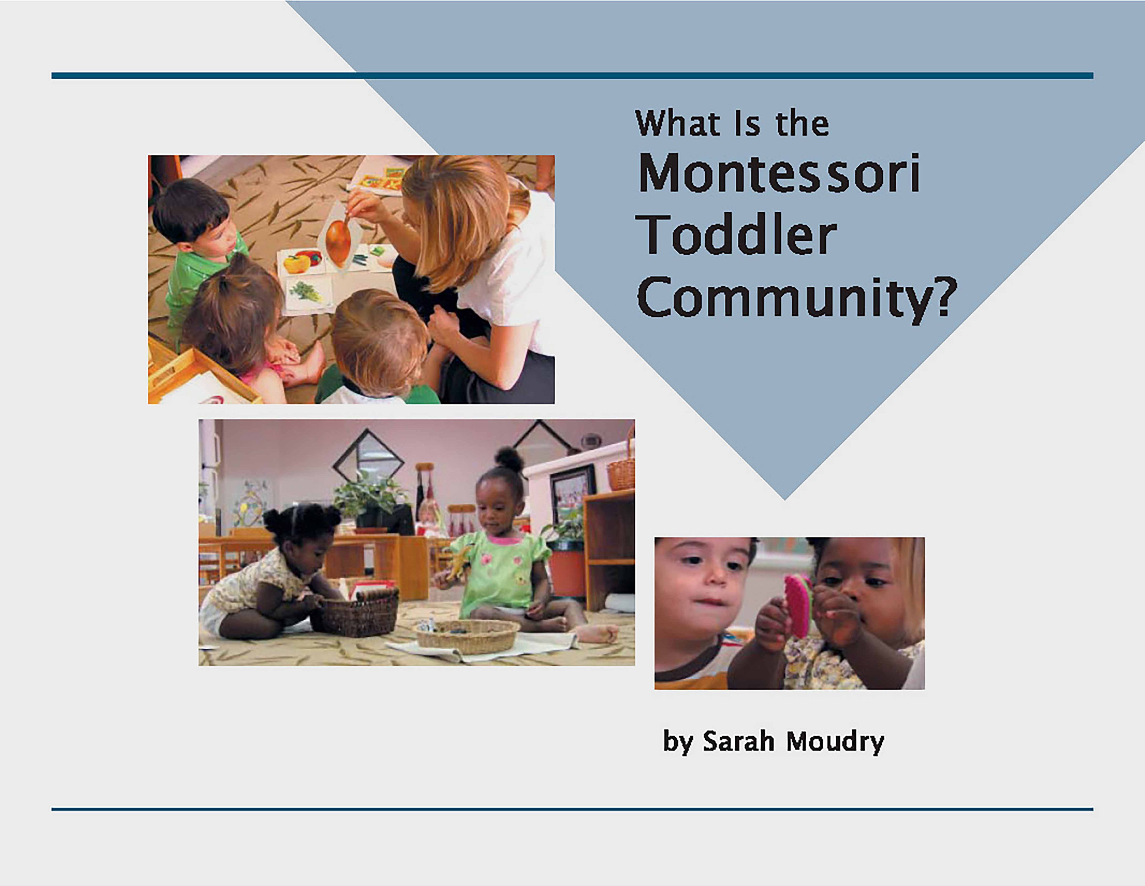 Nienhuis Montessori What Is The Montessori Toddler Community? - obrázek 1