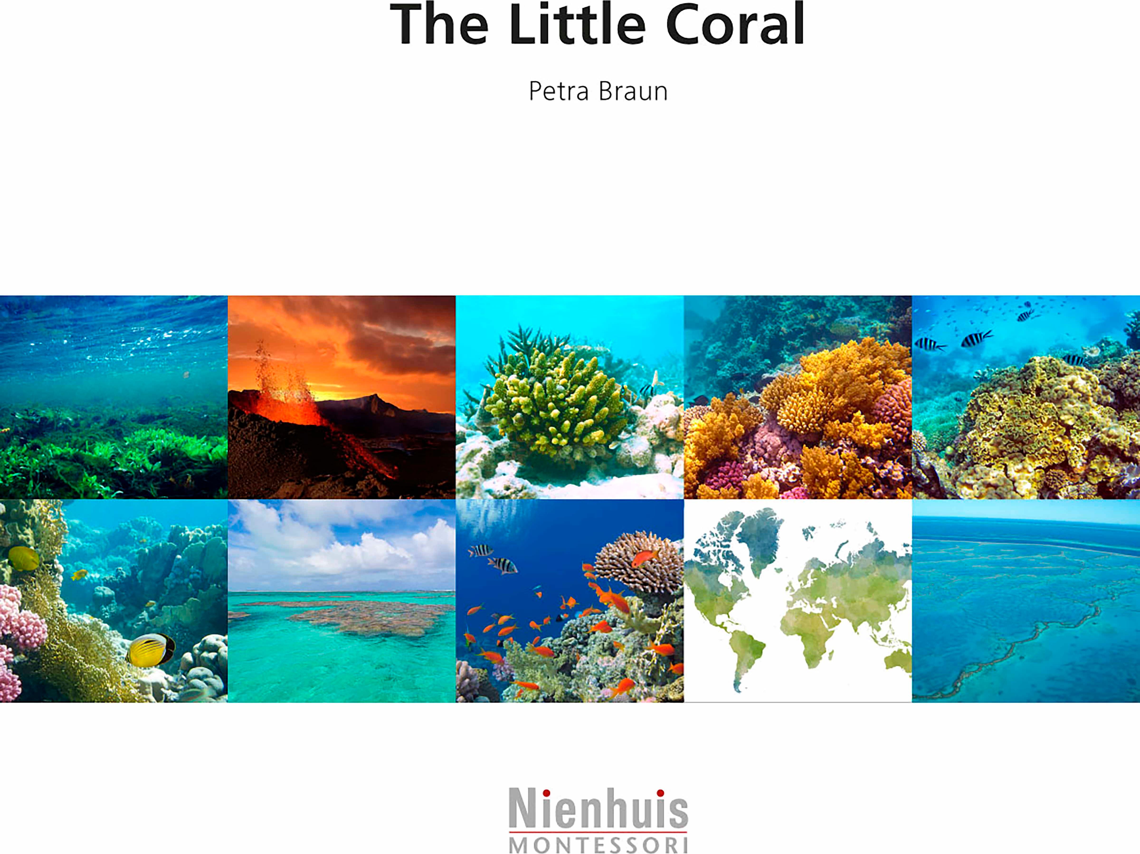 Nienhuis Montessori The Little Coral - obrázek 1