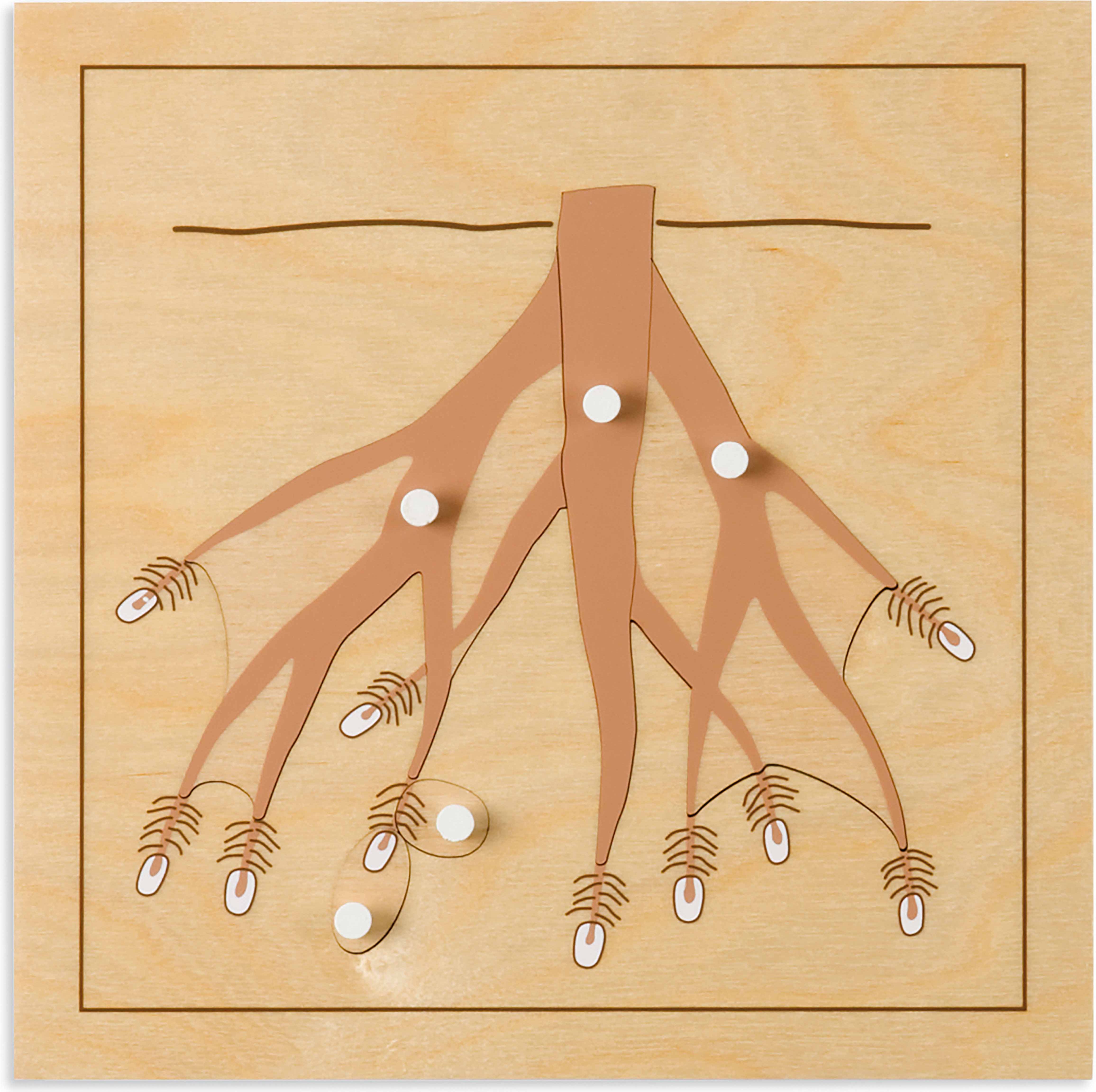Nienhuis Montessori Botany Puzzle: Root - obrázek 1