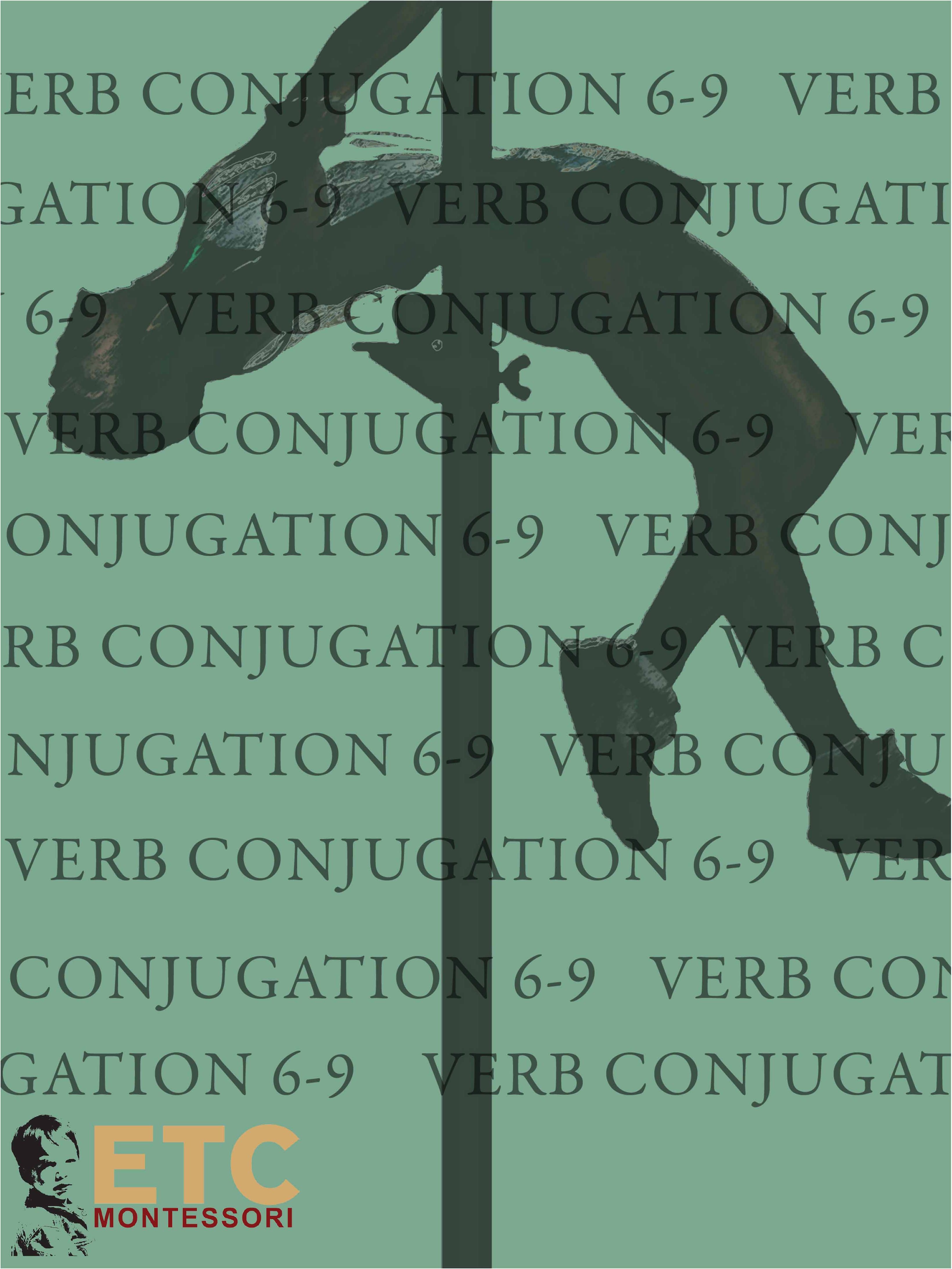 Nienhuis Montessori Verb Conjugation Level 6-9 - obrázek 1