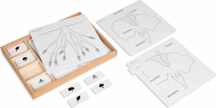 Nienhuis Montessori Botany Puzzle Activity Set (German version) - obrázek 1