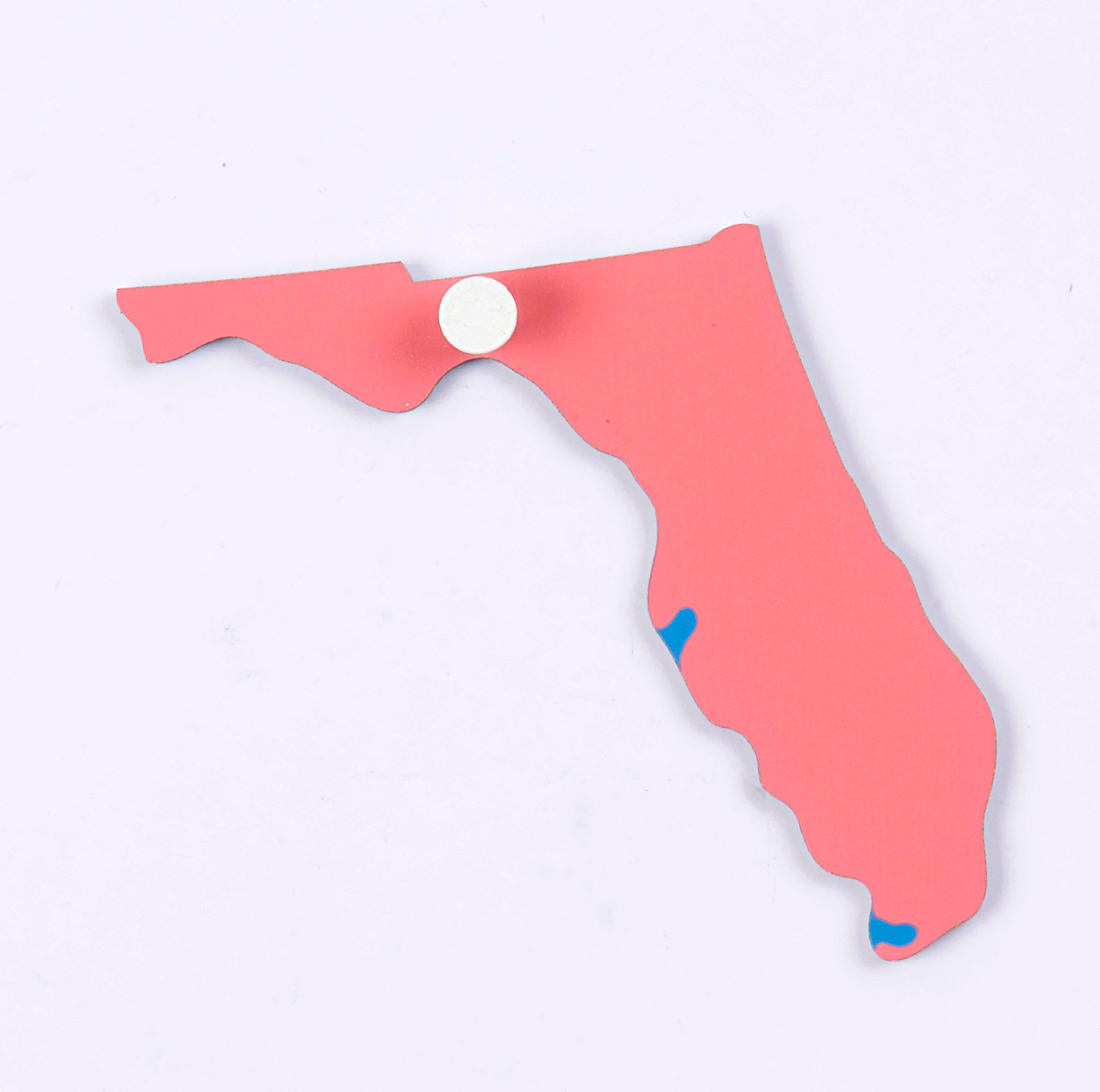 Nienhuis Montessori Puzzle Piece Of USA: Florida - obrázek 1