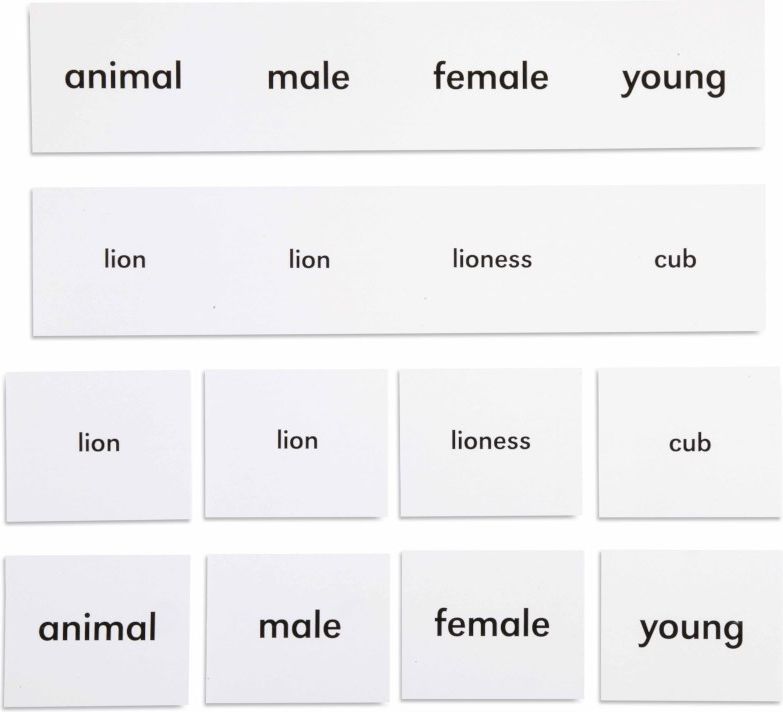 Nienhuis Montessori Animal Names - obrázek 1