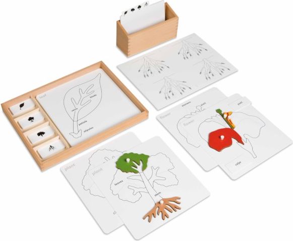 Nienhuis Montessori Botany Puzzle Activity Set - obrázek 1