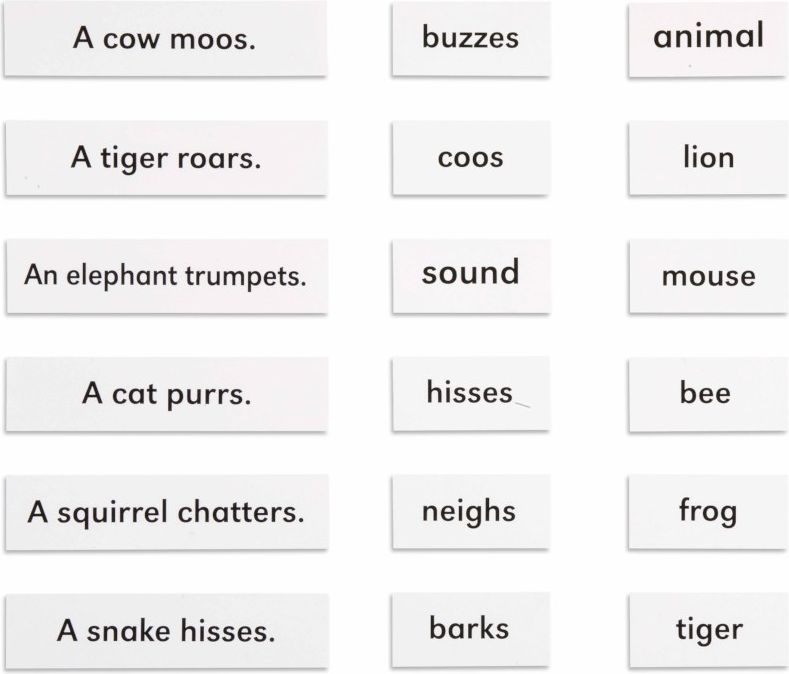 Nienhuis Montessori Animals And Their Sounds - obrázek 1