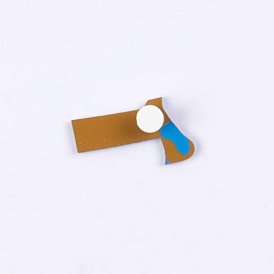 Nienhuis Montessori Puzzle Piece Of USA: Massachusetts - obrázek 1