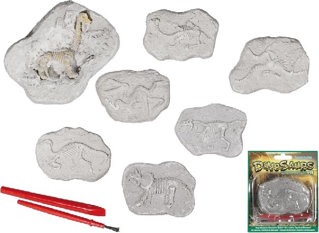 Objev kostru dinosaura - obrázek 1