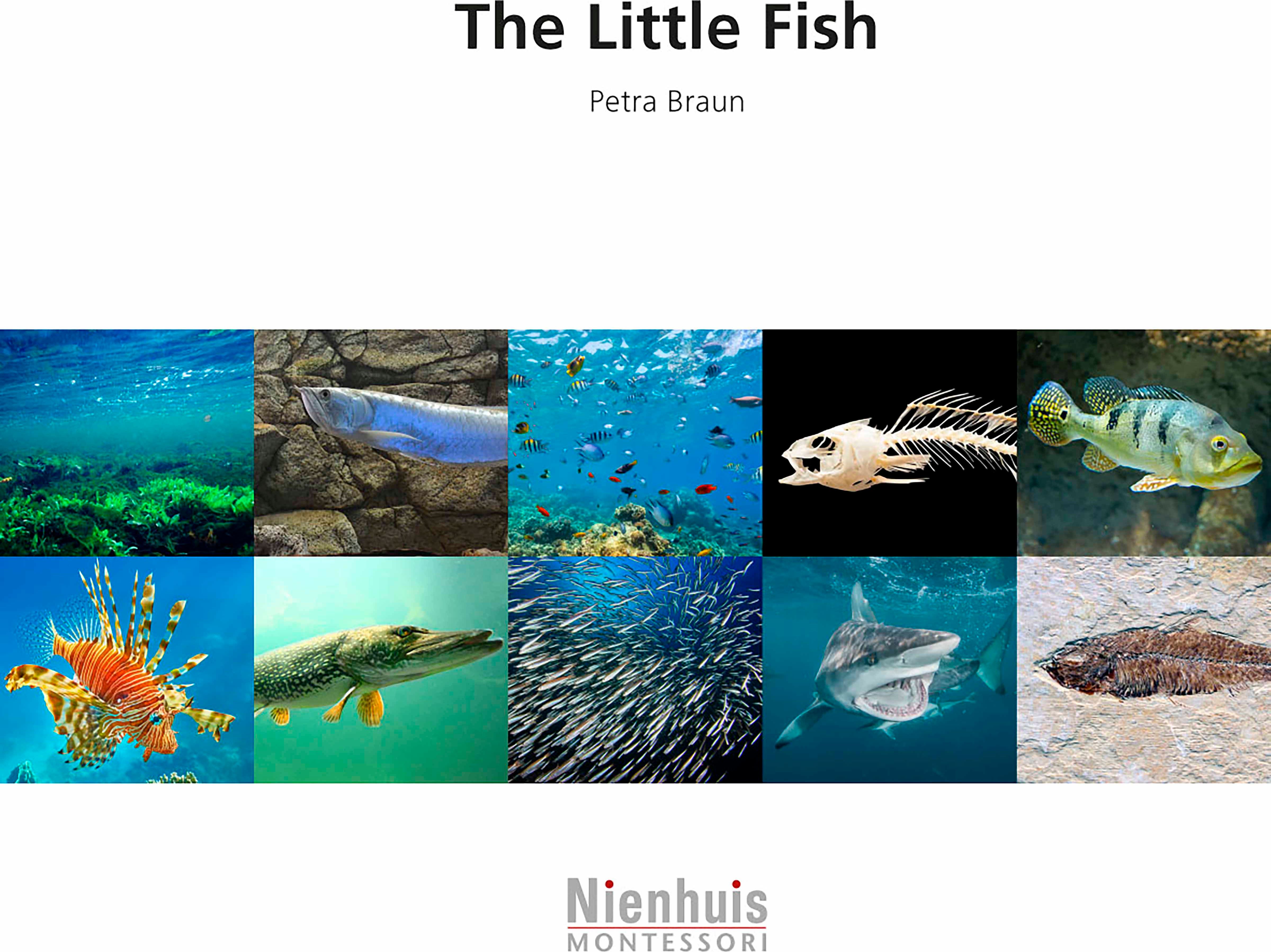 Nienhuis Montessori The Little Fish - obrázek 1