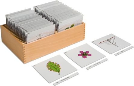 Jmenovky pro třetí sadu botanických karet - obrázek 1