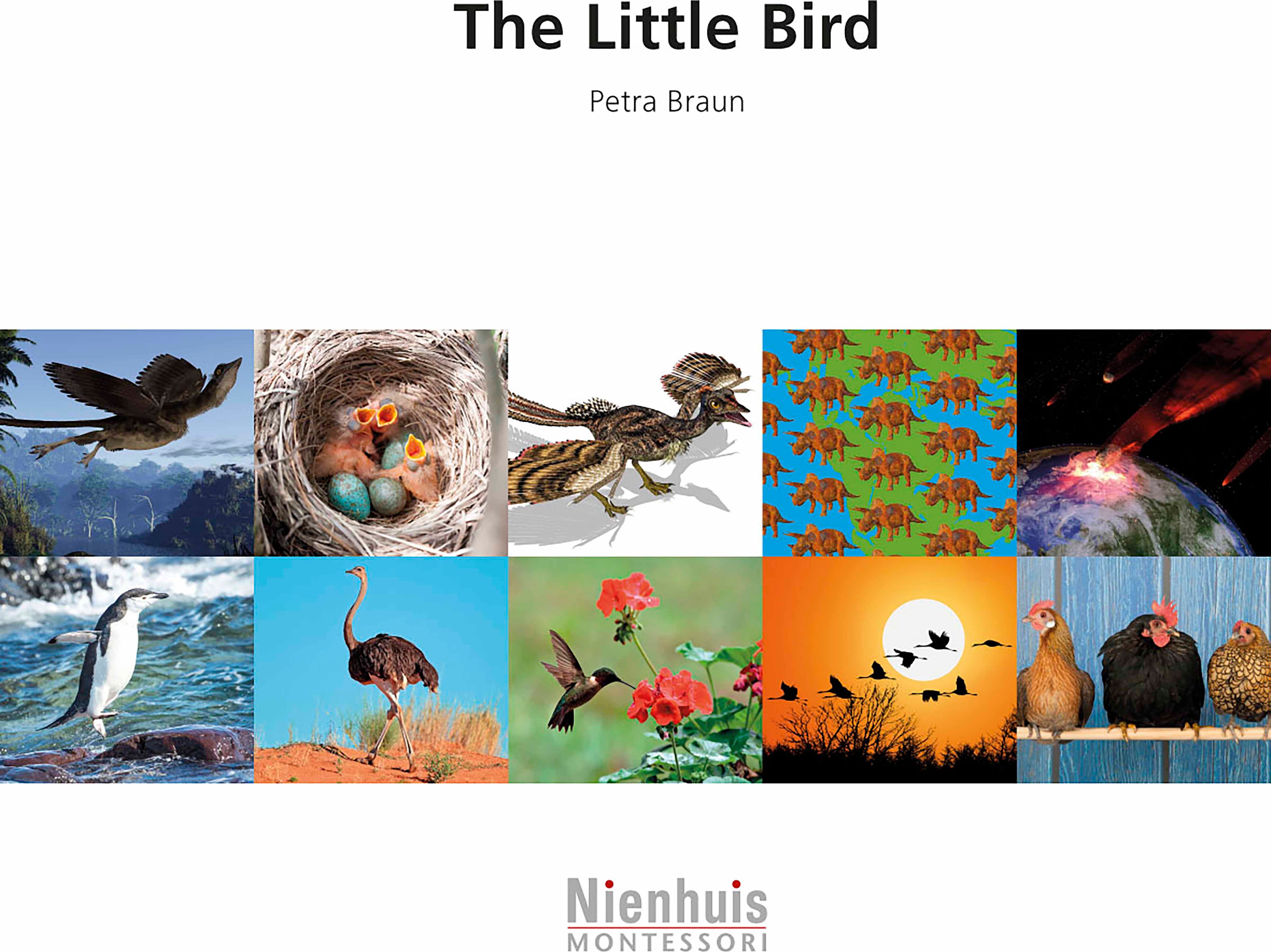 Nienhuis Montessori The Little Bird - obrázek 1